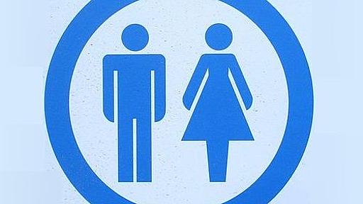 外国人「トイレに入ったら『こんなの日本だけ』というものを見たんだ」 : らばQ