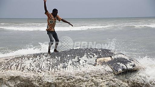 ガーナ海岸にクジラ死骸漂着、1週間で5頭　写真4枚　国際ニュース : AFPBB News