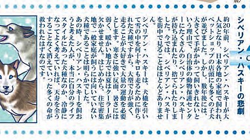 Bazil on Twitter: "「動物のお医者さん」の影響によるハスキー・ブームと飼育崩壊が「なかった」とかいう凄いのが繰り返し流れてくるけど、環境省が悪しき前例として警鐘を鳴らすくらいには実際にあったことですよ。 https://t.co/q0K5LPf6KF https://t.co/zLaIplILg9"