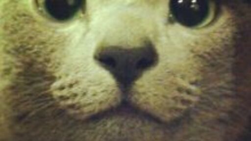 Sonota on Twitter: "維新の当たり屋みたいな理屈がツイッターではボロボロに論破されてるが、今回はっきりしたのは、維新VS立憲になった場合、テレビ業界的には「維新は何言っても正しい、立憲は何言っても間違い」という謎の裏ルールが存在し中立ヅラした「識者」が嘘ついてまで維新の肩を持つこと。"