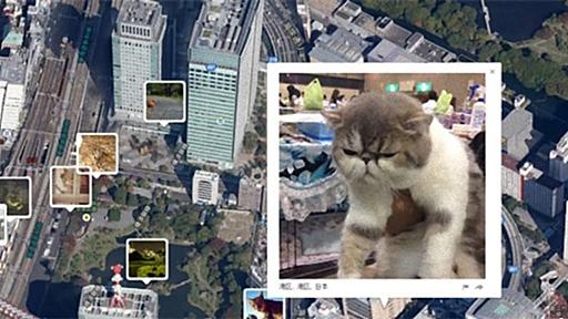 ご近所に住んでいる猫を写真付きで見ることができるグーグルマップ位置情報を利用した世界猫地図「I Know Where Your Cat Lives」 | カラパイア