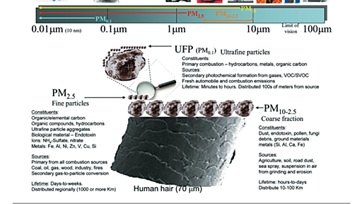 PM2.5の基礎情報：その定義と発生源と環境中濃度と健康影響と基準値とYシャツと私（v1.2版） - Take a Risk：林岳彦の研究メモ