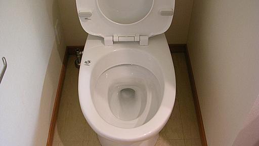 トイレ掃除は毎日たったの3分！プロが自宅で実践する方法伝授