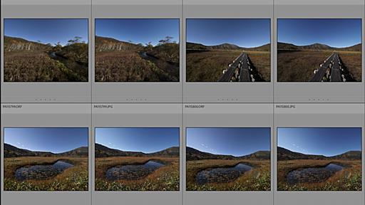 Lightroom ClassicでのRAW＋JPEGの扱い、表示について疑問（メモ） - I AM A DOG