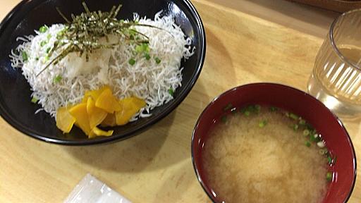 高知龍馬空港の「鯨の庭」で「ちりめん丼」