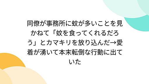 同僚が事務所に蚊が多いことを見かねて「蚊を食ってくれるだろう」とカマキリを放り込んだ→愛着が湧いて本末転倒な行動に出ていた