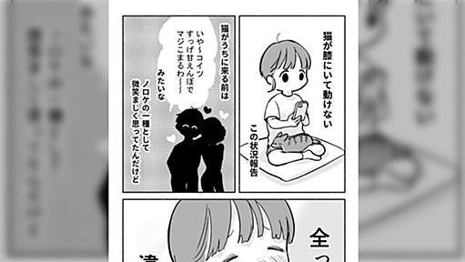 『猫が膝にいて動けない』いつでもどかせるし惚気でしょ？と思ってたけど「やめられないやつ」だった