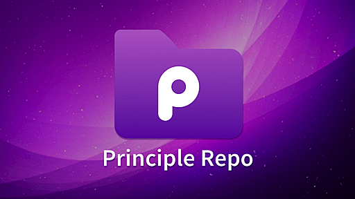 Principle Repo