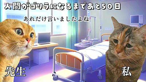 爆発的に今流行している『猫ミーム』ってなに？実際作ってみたらバズッている理由が分かった気がする！（わんこそば） - エキスパート - Yahoo!ニュース