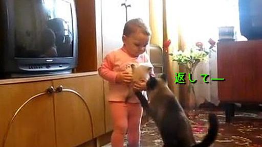 子猫を抱っこする人間の赤ちゃんに、母猫「返してー！」（動画） : らばQ