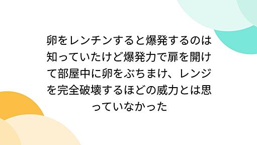 卵をレンチンすると爆発するのは知っていたけど爆発力で扉を開けて部屋中に卵をぶちまけ、レンジを完全破壊するほどの威力とは思っていなかった