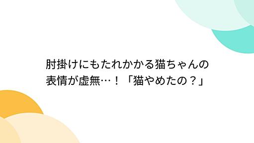 肘掛けにもたれかかる猫ちゃんの表情が虚無…！「猫やめたの？」