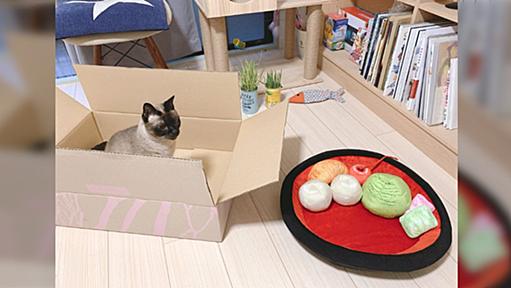 フェリシモの『あんみつにゃんこクッション』が届き、早速使ってみる猫のみなさん→ダンボールの寝心地も抜群だった「期待を裏切らない」