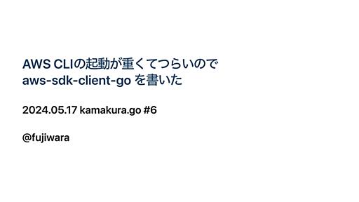 AWS CLIの起動が重くてつらいので aws-sdk-client-go を書いた / kamakura.go#6