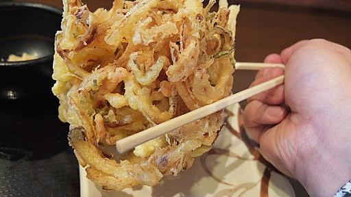 彡(ﾟ)(ﾟ)「丸亀製麺の野菜かき揚げ130円……？」 : 哲学ニュースnwk