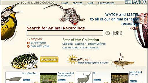 6万5000以上の動物の鳴き声を聞くことができる「Macaulay Library Catalog」