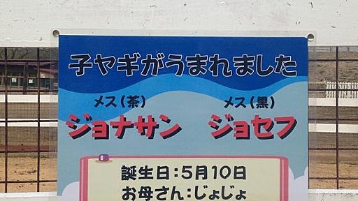 ジョジョの血統っぽいヤギ一族、成田ゆめ牧場で見つかる　すでに第3部まで突入中だメェ