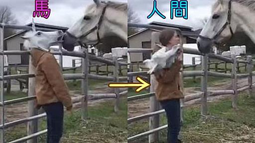 馬の前で「馬のマスク」を外してみたら→こんな反応を見せるとは！（動画） : らばQ