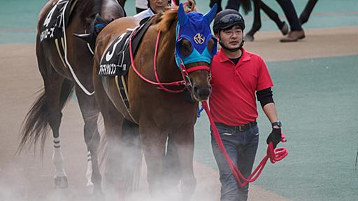 ダービー前日、グルメパーク東京競馬場が戻ってきていたのでランチに行ってきた - I AM A DOG