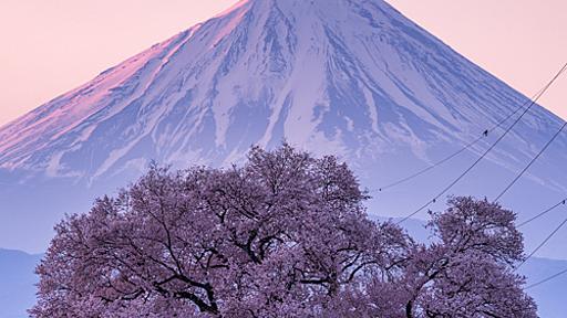 写真のために枝をポキッ！　景勝地での度重なるマナー違反にプロカメラマン「もっと謙虚な気持ちで」