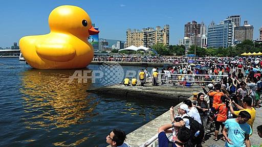 台湾の地震で「巨大アヒル」が犠牲に、お尻から破裂