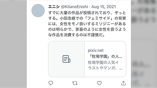 青識亜論氏がなりすましフェミ垢でR-18でゾーニングされているpixiv作品をtwitterに引っ張り出して批判していた件