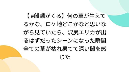 【 #麒麟がくる】何の草が生えてるかな、ロケ地どこかなと思いながら見ていたら、沢尻エリカが出るはずだったシーンになった瞬間全ての草が枯れ果てて深い闇を感じた