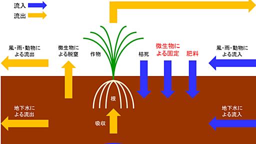 「奇跡のリンゴ」という幻想　−無肥料農法は長続きしない− - バッタもん日記