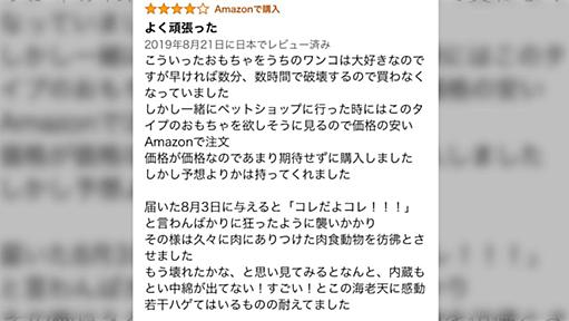 犬のおもちゃのレビューで目頭が熱くなったのは初めてかもしれない「11日間耐えたえび天」「飼い主の文才と犬の破壊衝動に乾杯」