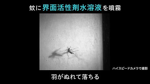 殺虫成分いらずで蚊を駆除　花王の新技術、市販の可能性は？