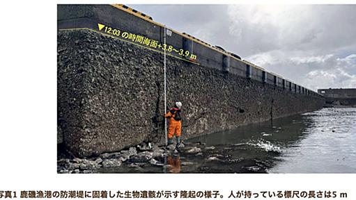 能登半島地震による"海岸の4mの隆起"調査結果→自然のパワーがすごすぎて絶句「現地の資源になってほしい」