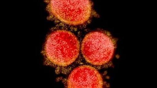 「想定より早い、衝撃的な数字」沖縄コロナ感染1029人　1カ月ぶりに1000人台（3月2日朝） - 琉球新報デジタル