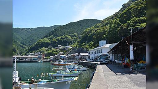 漁港の岸壁ギリギリを走るバスがエモいと話題に えっ、うそ、元国道だったの？三重交通ハラソ線梶賀漁港と長崎バス1系統宮浦