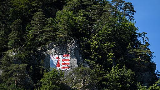 スイス独語圏の町、仏語圏に編入へ 住民投票で決定