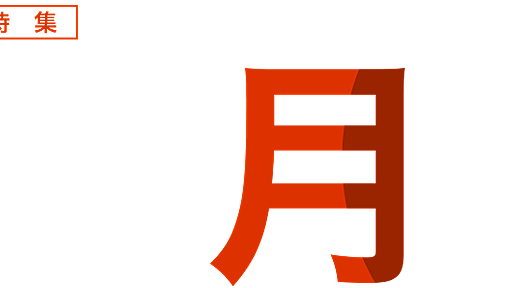 アストロアーツ「2014年10月8日 皆既月食」特集サイト