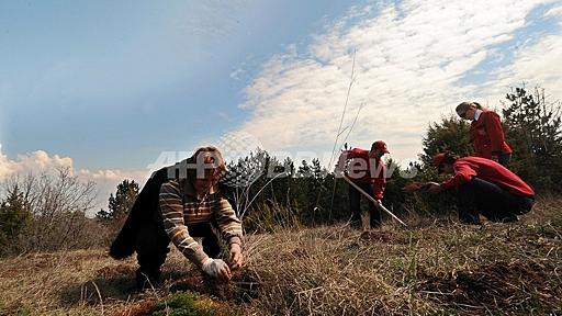 植林は温暖化防止にほとんど貢献しない、カナダ研究