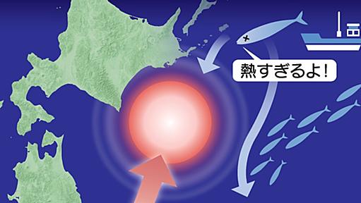 サンマはどこへ行った？　「暖水の塊」で日本に近づけず - 日本経済新聞