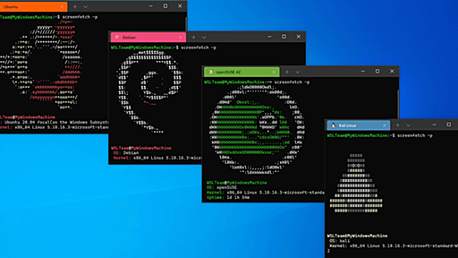 LinuxアプリをWindowsで動かす「Windows Subsystem for Linux(WSL)」のMicrosoft Store版がついに正式版に到達