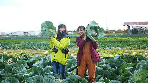 農業の間口広げ若者の就農機会を創出、地方農家の助けにもなる「アグリヘルパー」は農業の新たな形となるか？　泉佐野アグリカレッジ（前編）