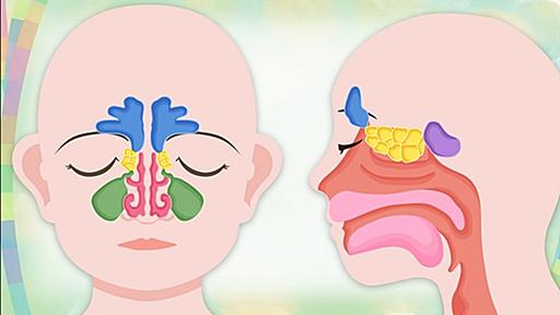 「鼻炎」の悩み!解消法 「あなどれない 鼻づまり」 - きょうの健康