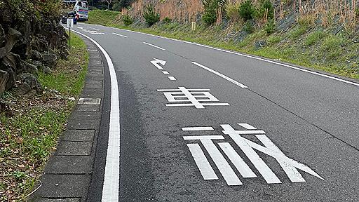 路面標示みたいに書かれた「車祓」～ 今週の「これすごくない？」