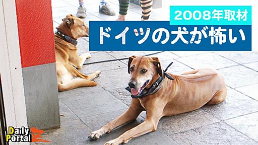 ドイツの犬が怖い 2008（デジタルリマスター）