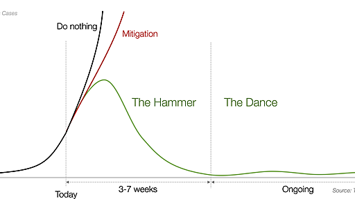 コロナウィルス : 「ハンマー」と「ダンス」(Coronavirus: The Hammer and the Danceの翻訳)