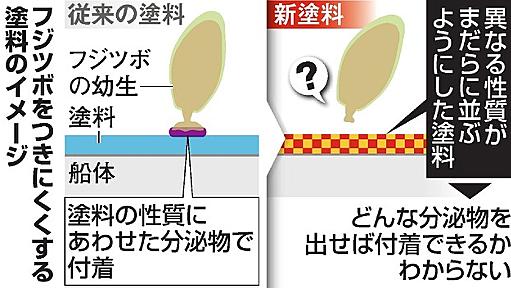 フジツボ戸惑う塗料、船底への付着防ぐぞ　日ペが開発：朝日新聞デジタル