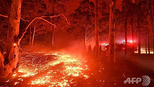 豪州の森林火災、見直される先住民の「野焼き」