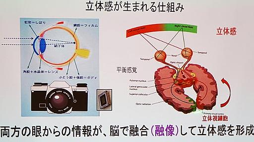 なぜ13歳未満の子供は、Oculus Riftを使用してはいけないのか？医学的な見地からの警鐘 | MoguraVR