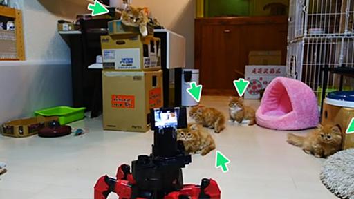 6足歩行多脚駆動型ロボットにマンチカン猫ファミリーの子守りをさせてみた