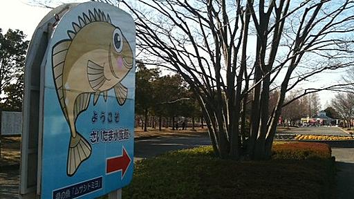 さいたま水族館で庭池の魚が大量死した事件で逮捕者。本当に元従業員の犯行か？ : 元・地方の中規模印刷会社で苦悩するWebデザイナー改めWebディレクターの日記