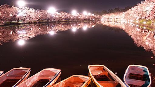 弘前さくらまつり-Hirosaki Cherry Blossom Festival