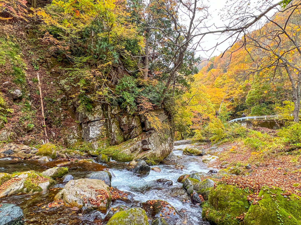 照葉峡